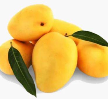 Common Fresh Mango, for Direct Consumption, Food Processing, Juice Making, Taste : Delicious Sweet