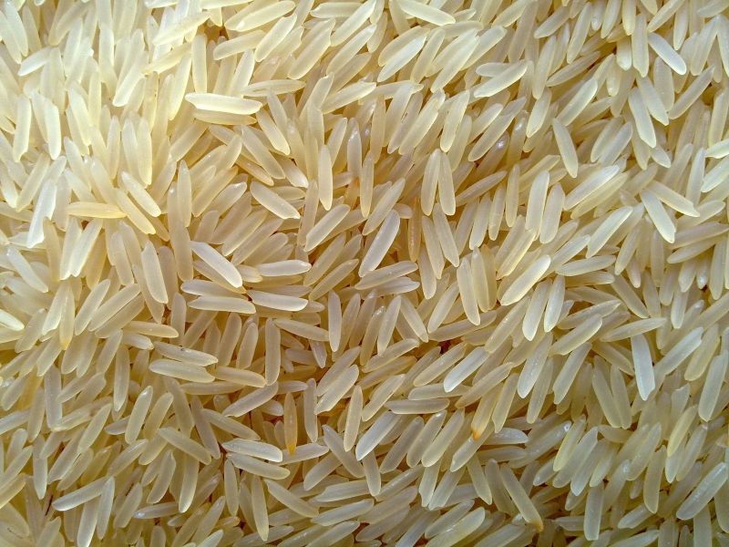 Golden Sella Non Basmati Rice, for Cooking, Food, Human Consumption, Variety : Medium Grain