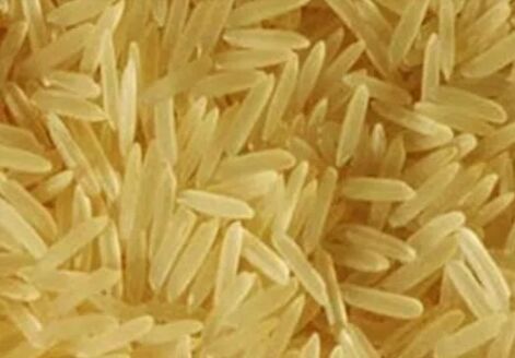 Hard sugandha golden sella rice, Variety : Medium Grain
