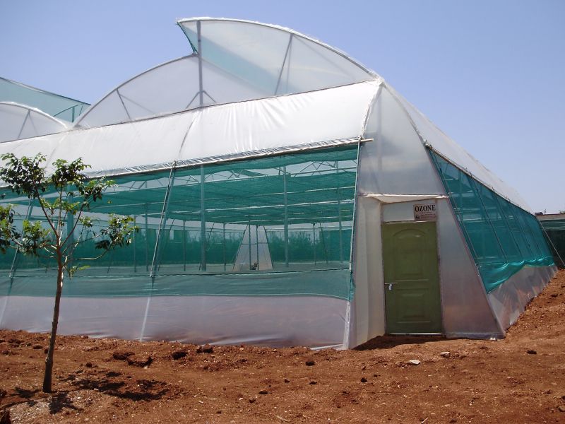 200 Micron Polyfilm (ginegar) Naturally Ventilated Polyhouse, For Agricultural Greenhouse, Greenhouse