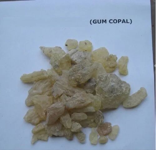 Gum copal, Packaging Type : Jute Bag / Carton