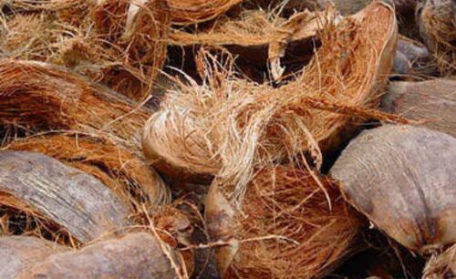 Common Coconut Husk, for Cooking, Food, Healthcare Products, Style : Dried