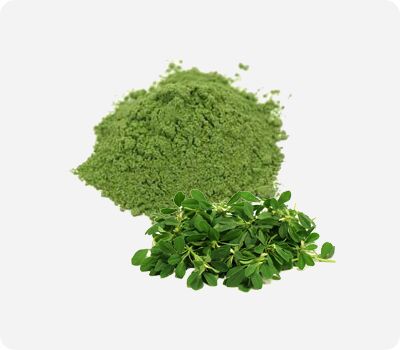 Organic Fenugreek Leaves Powder, for Anti Gastric, Antidiabetic, Cooking, Certification : FSSAI Certified