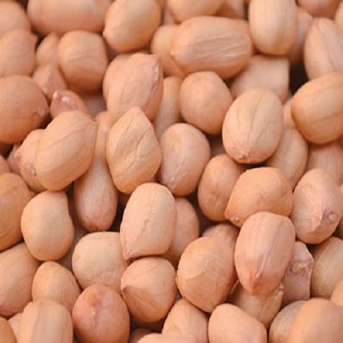 Natural Java Peanuts, for Home, Restaurant, Taste : Sweet Salty