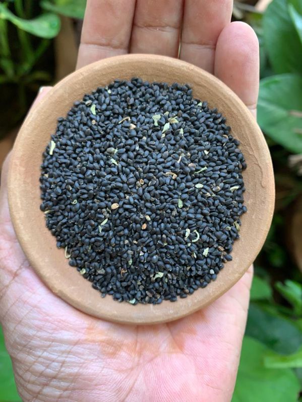 Natural Basil Seeds
