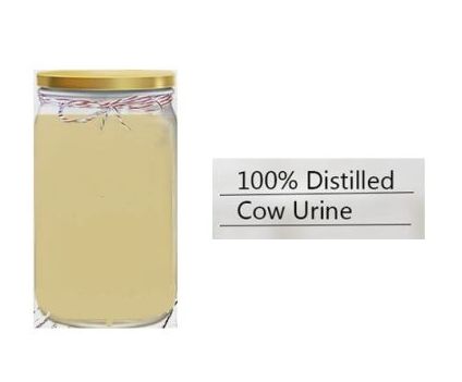 Distilled Cow Urine