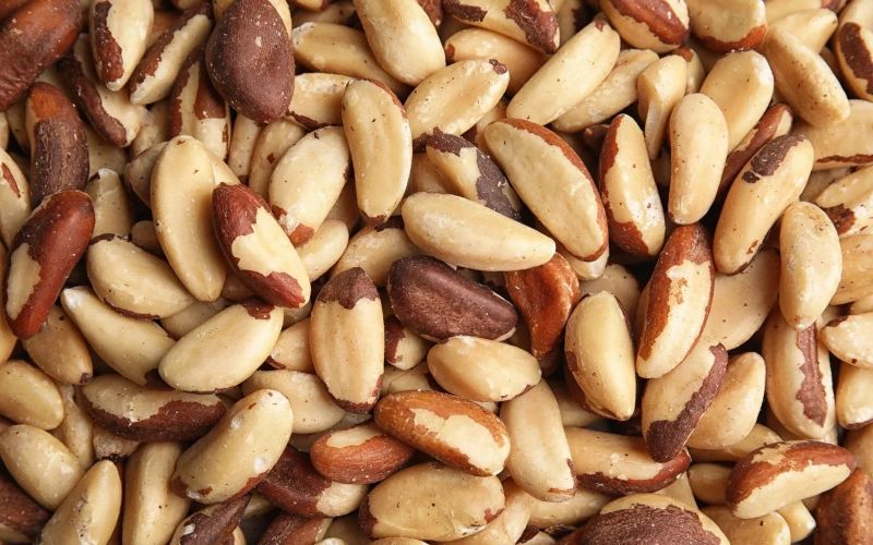 Dried Brazil Nut