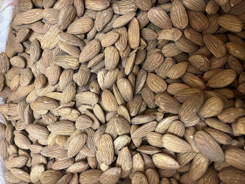 Hard Common california almonds, Packaging Type : 10kg