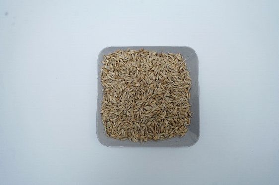 ajwain seeds