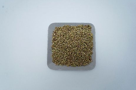 coriander seeds