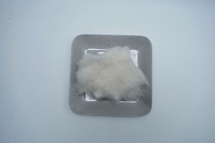 raw cotton