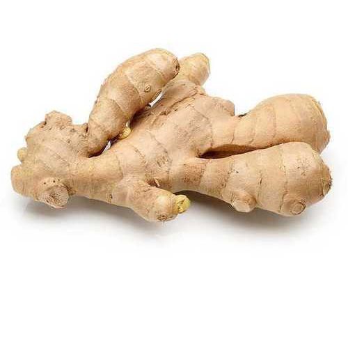 fresh ginger