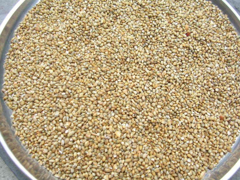 Natural Kambu Millet