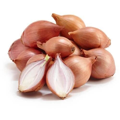 Shallots Onion