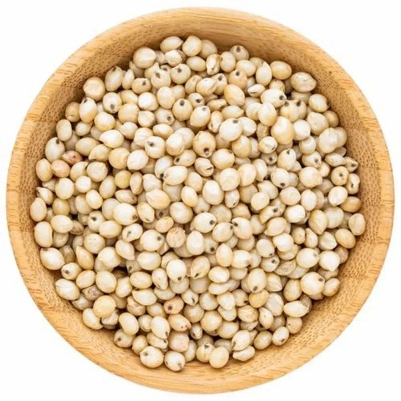 White Sorghum Millet