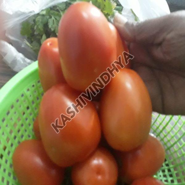 Fresh Red Tomato