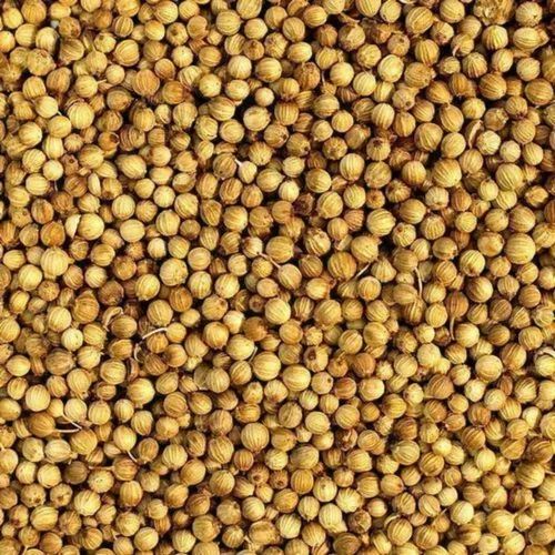 Brown Whole Coriander Seed, for Cooking, Packaging Size : Loose
