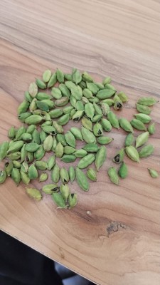 Green Solid Blended Organic Cardamom Seeds, for Cooking, Spices, Food Medicine