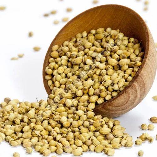 Green Granules Raw Common Coriander Seed, Grade Standard : Food Grade