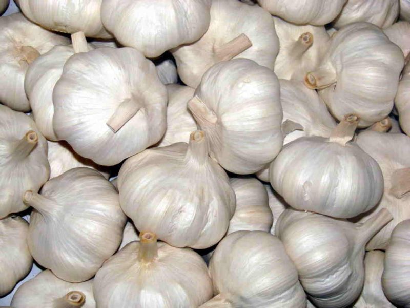 Garlic, Packaging Type : Plastic Packet