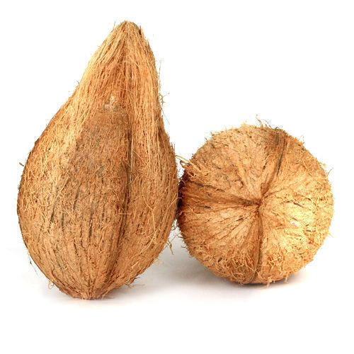 Brown Solid Hard Natural Coconut, for Pooja, Cooking, Speciality : Healthy, Easily Affordable