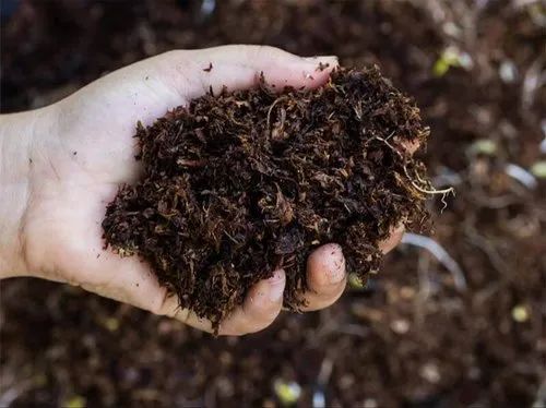Brown Vermicompost Organic Manure, for Agriculture, Packaging Type : Plastic Bag