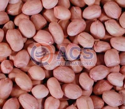 Natural 140/160 Bold Groundnut Kernel, for Butter, Cooking Use, Making Oil, Packaging Type : Plastic Packet