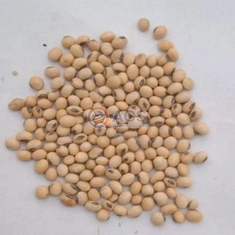 Dry Soybean Seeds