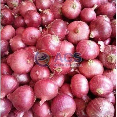 Pink Natural Fresh Nasik Onion, for Snacks, Cooking, Packaging Type : Gunny Bags