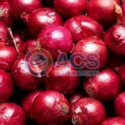 Pink Natural Fresh Rose Onion, for Fast Food, Cooking, Packaging Type : Gunny Bags