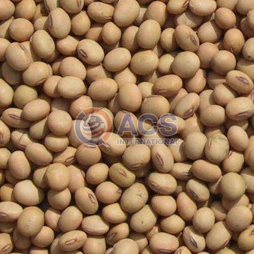 Nature Hybrid Soybean Seeds, for Cooking, Human Consumption, Style : Dried