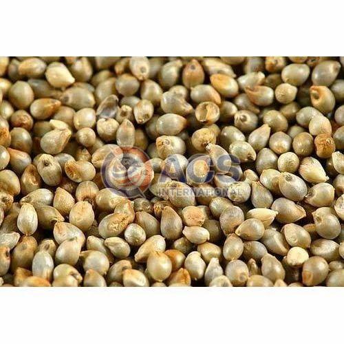 Whole Pearl Millet