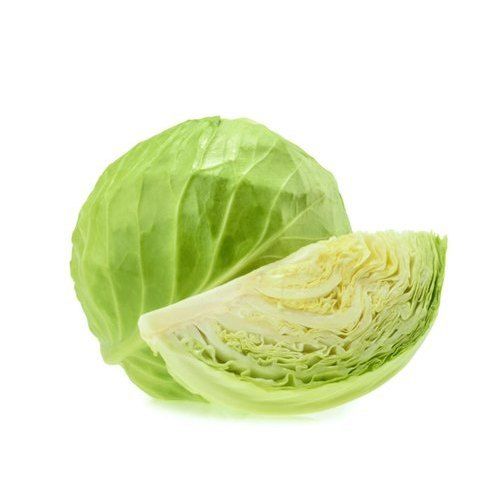 A Grade Fresh Green Cabbage