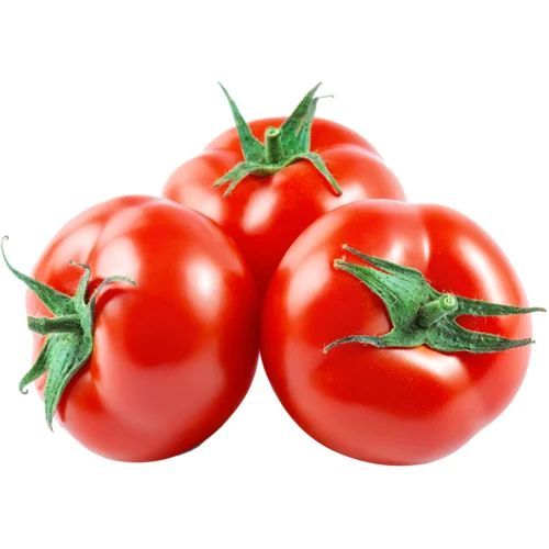 Fresh Natural Tomato