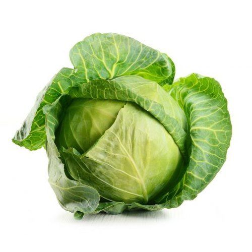 Fresh Organic Cabbage