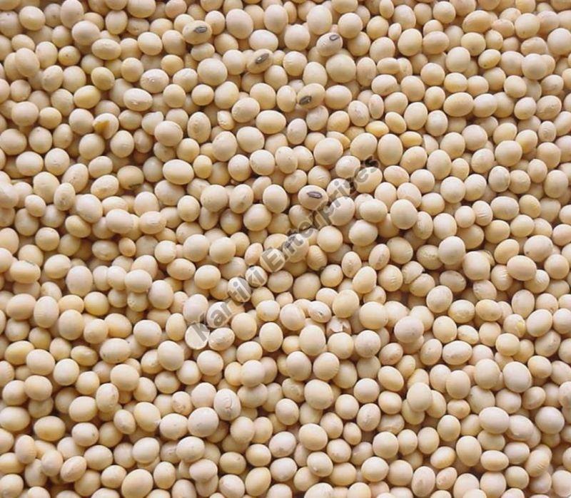 Nature Dried Soybean Seeds, Shelf Life : 6 Months