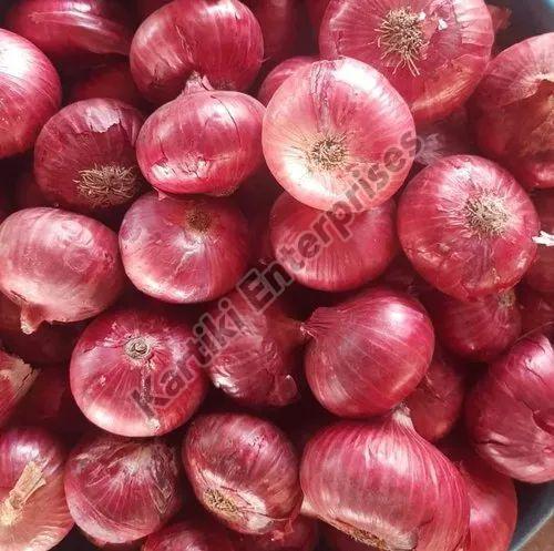 India Fresh Red Onion