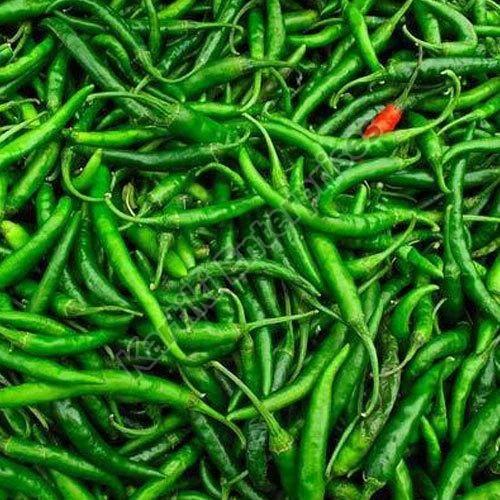 Indian Green Chilli, for Cooking, Packaging Size : 20 kg