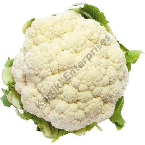 White Natural Fresh Cauliflower, Packaging Type : Bag