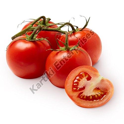 Red Fresh Tomato