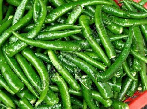 Spicy Natural Green Chilli, for Cooking, Packaging Size : 20 kg