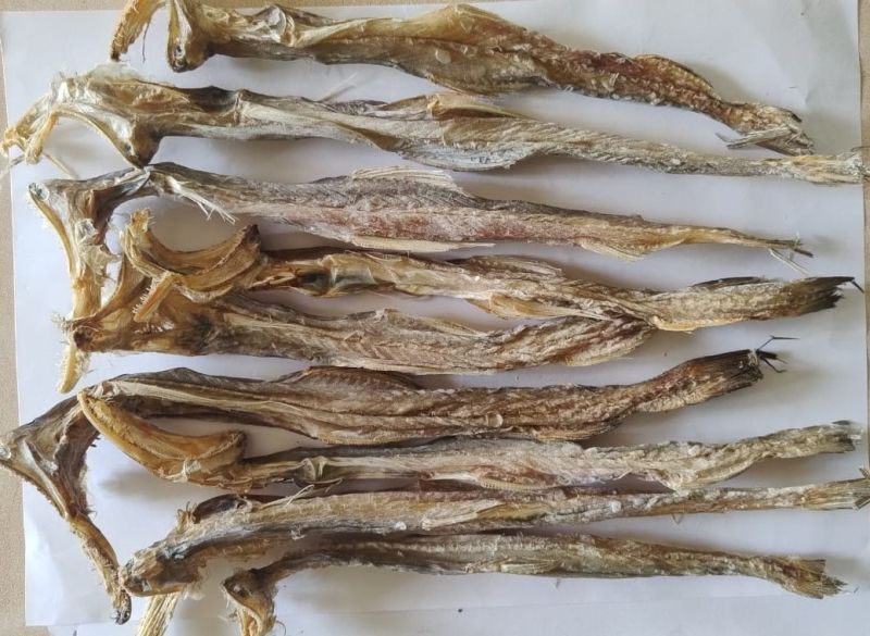 Dried bombay duck, Packaging Type : Carton Box