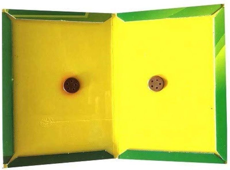 Yellow Cardboard Rodent Glue Traps, Packaging Type : Box