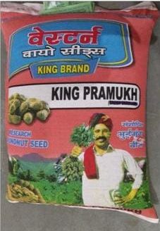 King Pramukh Groundnut Seeds, for Cooking, Oil Extraction, Direct Consumption, Packaging Type : PP Bags