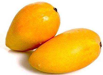 Fresh Badami Mango, Packaging Size : 25kg 50kg