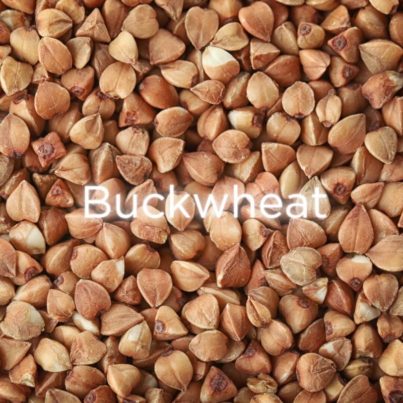 Buckwheat