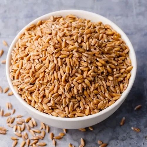 wheat grain