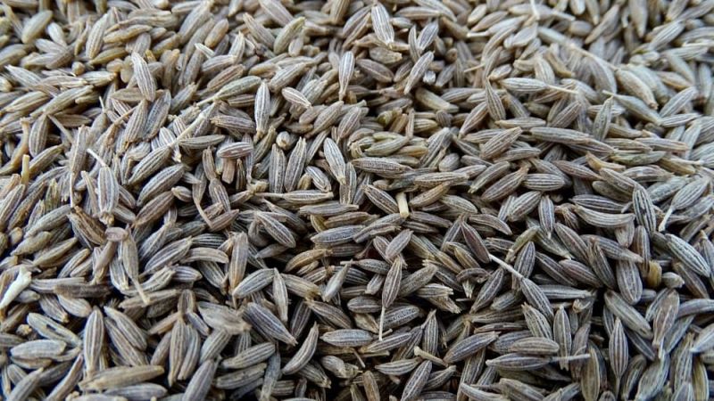 cumin seeds