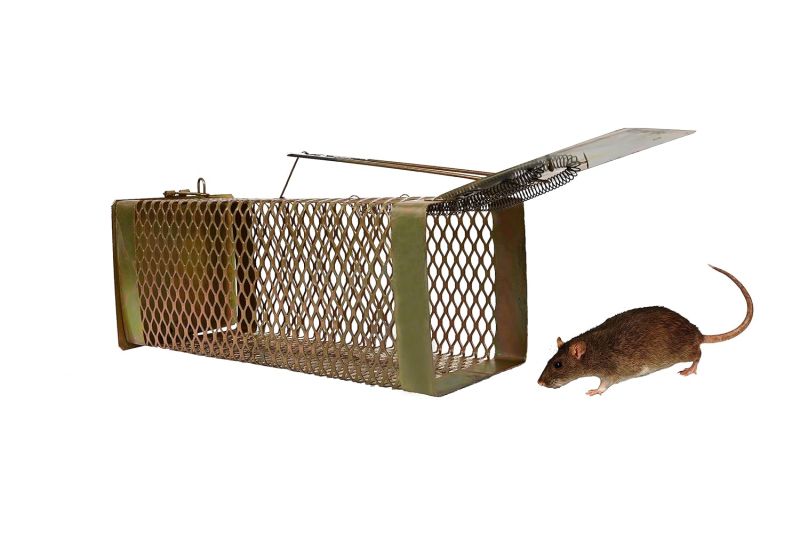 Pestezy Medium Rat Trap Cage, Size : 26L X 11.5W X 10H Centimeters
