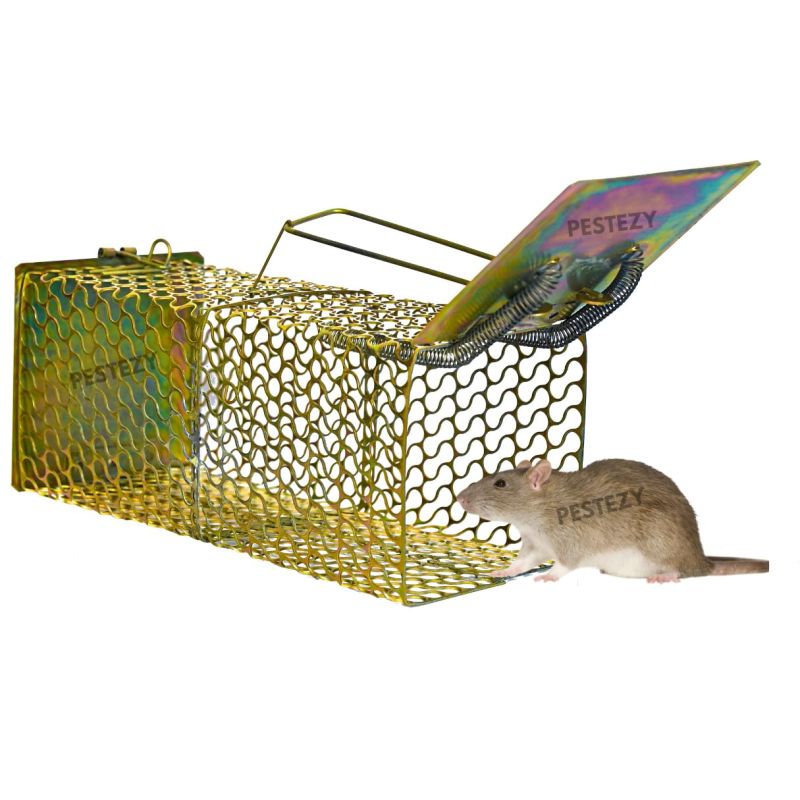 Pestezy Small Rat Trap Cage, Size : 22x9x9 cm